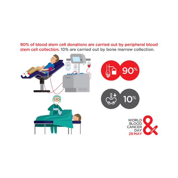 world blood cancer day