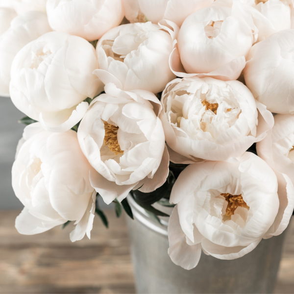 Image of calming flowers, to relax about overwhelm using the power of an hour method