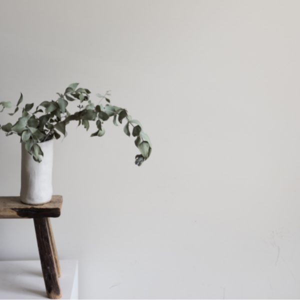 small bench and eucalyptus in a vase