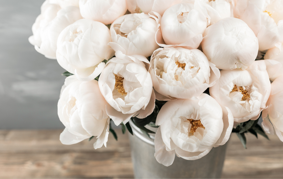 beautiful bucket of pale pink peonies.