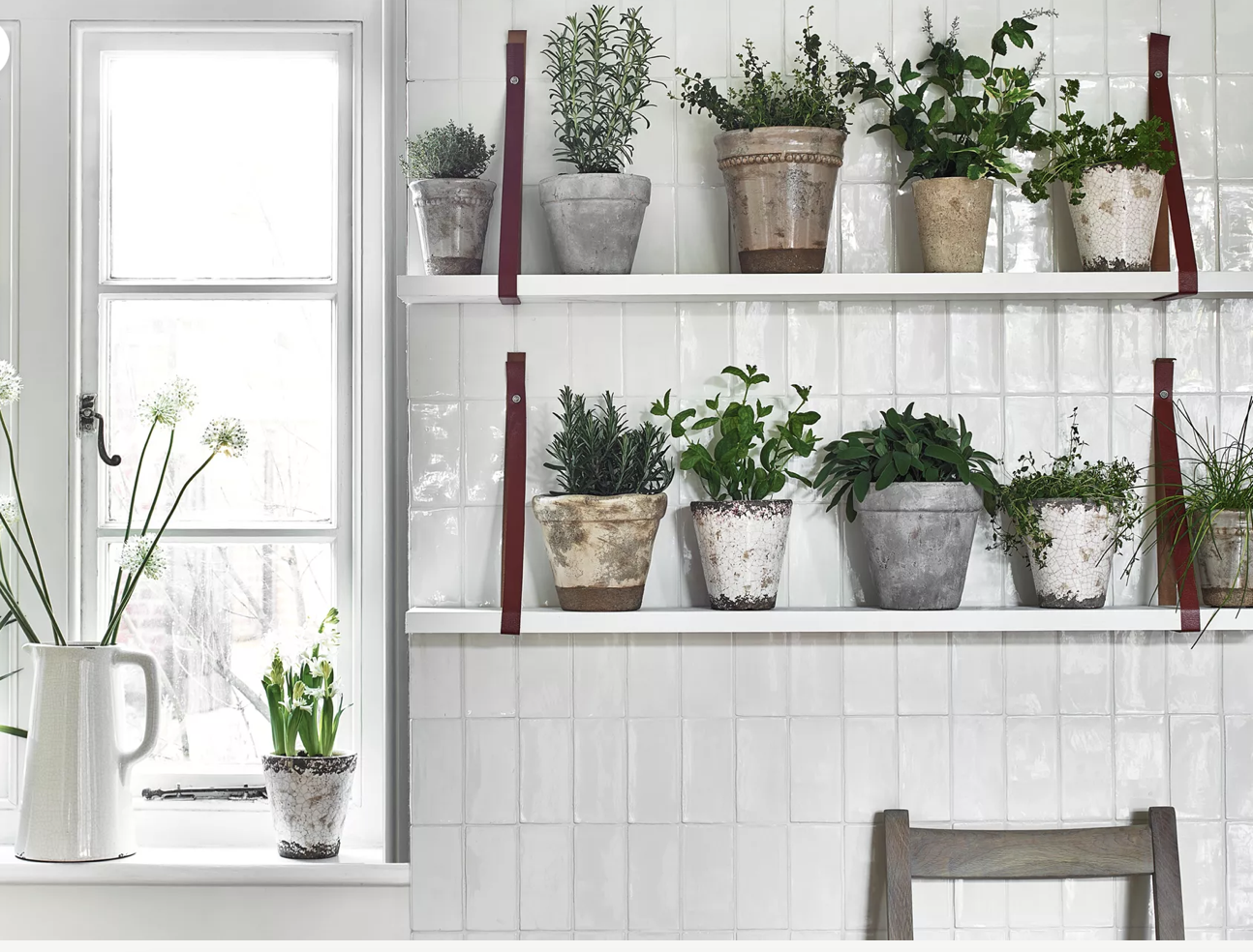 Dreams come true with this stunning garden room, white with lots of greens plants of shelves