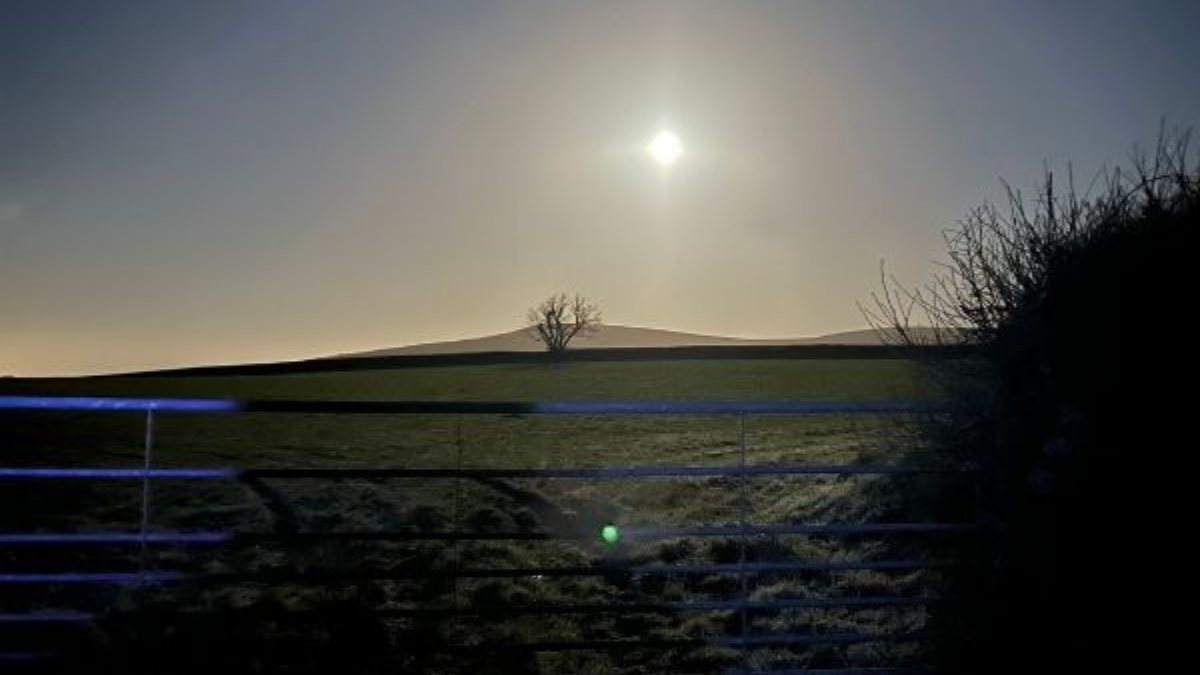 Simple, Effective Ways To Stop The Blues This January