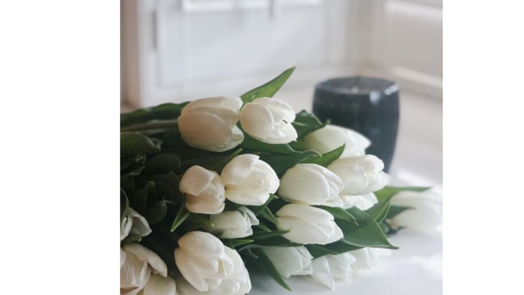 white tulips in the foreground, too kind