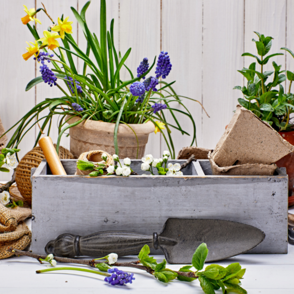 Gardening is good for the soul