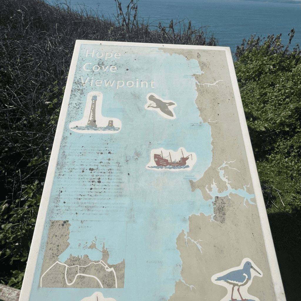 hope cove view point